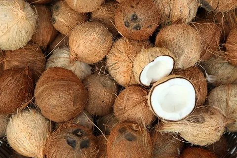 Dried Coconuts